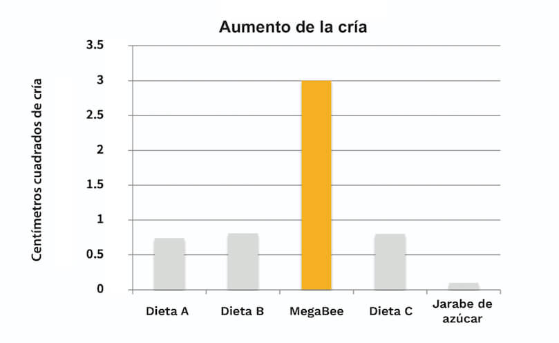 MegaBee: Producir cría como nunca antes