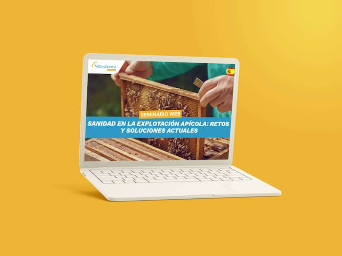 Seminario web – Sanidad en la explotación apícola