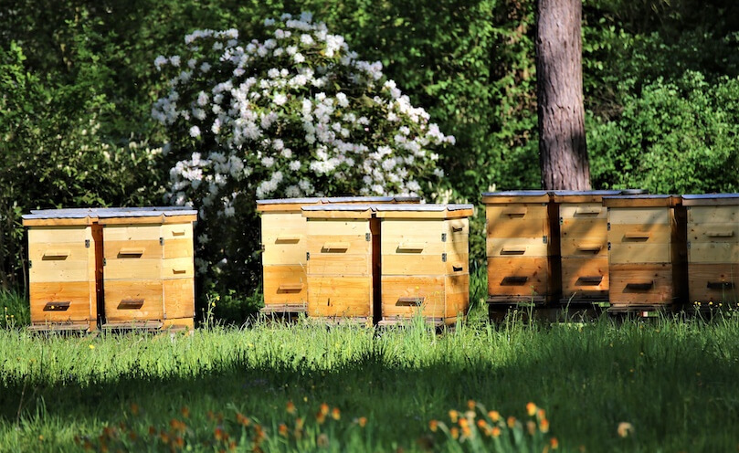 Api-Bioxal, conservación óptima