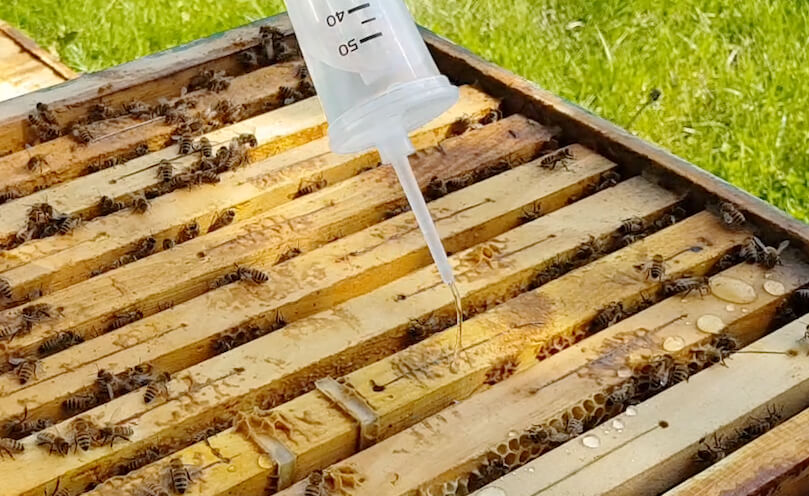 Api-Bioxal Solución Api-Bioxal Solución